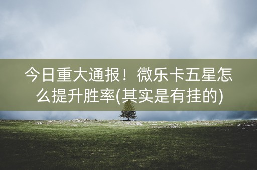 今日重大通报！微乐卡五星怎么提升胜率(其实是有挂的)