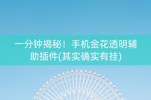 一分钟揭秘！手机金花透明辅助插件(其实确实有挂)