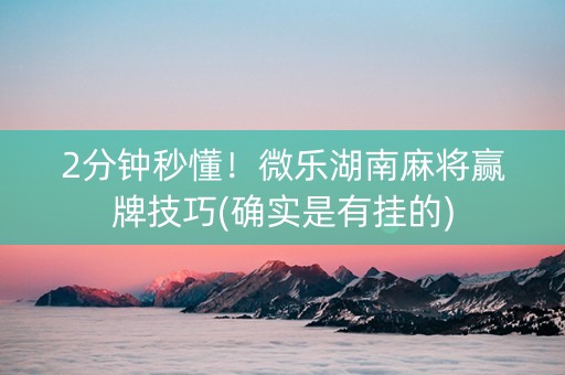 2分钟秒懂！微乐湖南麻将赢牌技巧(确实是有挂的)