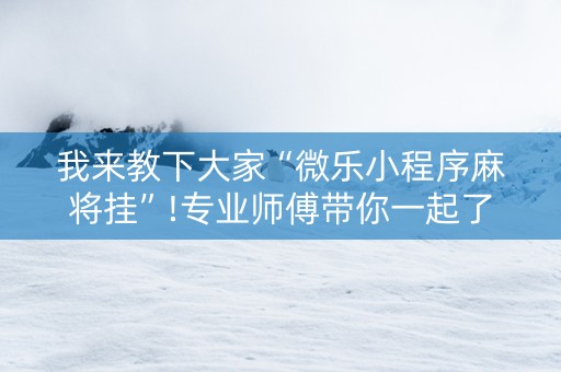 我来教下大家“微乐小程序麻将挂”!专业师傅带你一起了解（详细教程）-抖音