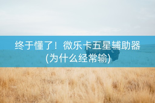 终于懂了！微乐卡五星辅助器(为什么经常输)