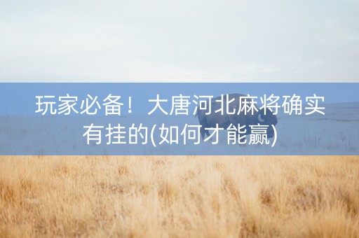 玩家必备！大唐河北麻将确实有挂的(如何才能赢)