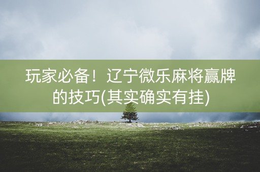 玩家必备！辽宁微乐麻将赢牌的技巧(其实确实有挂)