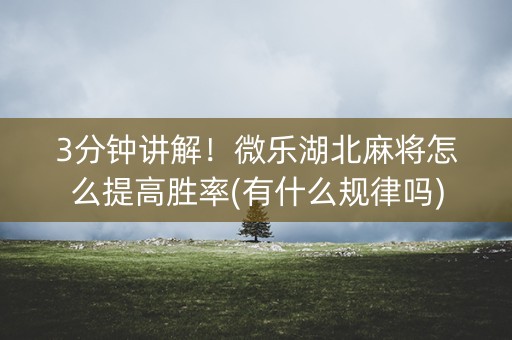 3分钟讲解！微乐湖北麻将怎么提高胜率(有什么规律吗)