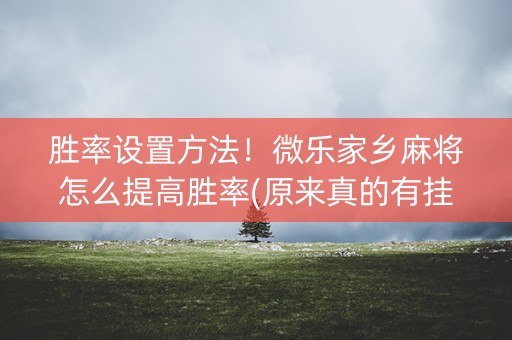 胜率设置方法！微乐家乡麻将怎么提高胜率(原来真的有挂)