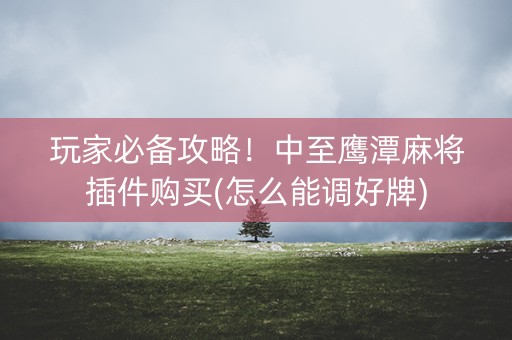 玩家必备攻略！中至鹰潭麻将插件购买(怎么能调好牌)