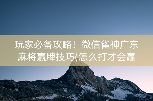 玩家必备攻略！微信雀神广东麻将赢牌技巧(怎么打才会赢)