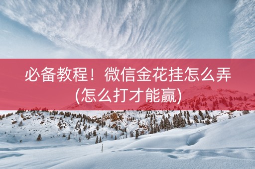 必备教程！微信金花挂怎么弄(怎么打才能赢)