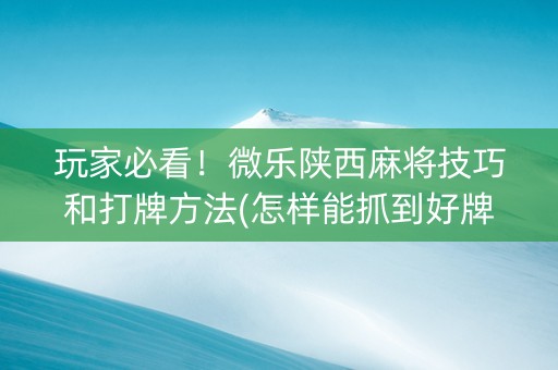 玩家必看！微乐陕西麻将技巧和打牌方法(怎样能抓到好牌)