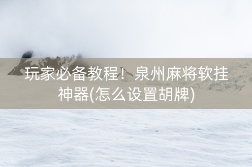 玩家必备教程！泉州麻将软挂神器(怎么设置胡牌)