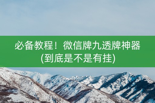 必备教程！微信牌九透牌神器(到底是不是有挂)