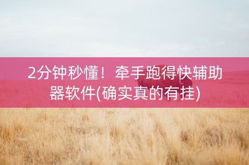 2分钟秒懂！牵手跑得快辅助器软件(确实真的有挂)