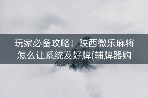 玩家必备攻略！陕西微乐麻将怎么让系统发好牌(辅牌器购买)