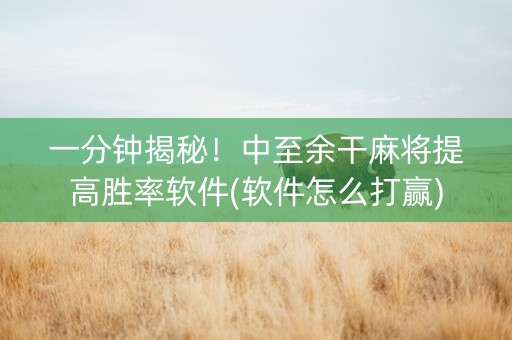 一分钟揭秘！中至余干麻将提高胜率软件(软件怎么打赢)