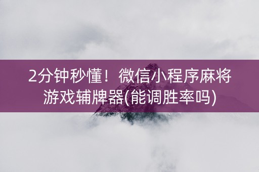 2分钟秒懂！微信小程序麻将游戏辅牌器(能调胜率吗)