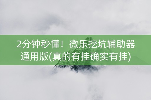 2分钟秒懂！微乐挖坑辅助器通用版(真的有挂确实有挂)