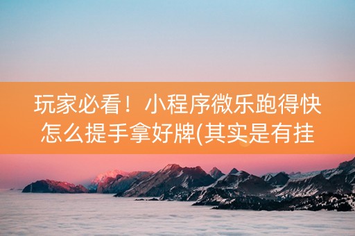 玩家必看！小程序微乐跑得快怎么提手拿好牌(其实是有挂的)