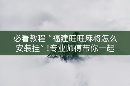 必看教程“福建旺旺麻将怎么安装挂”!专业师傅带你一起了解（详细教程）-抖音