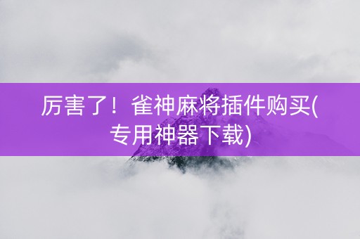 厉害了！雀神麻将插件购买(专用神器下载)