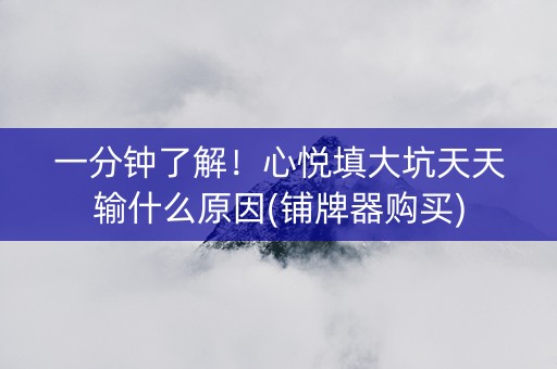 一分钟了解！心悦填大坑天天输什么原因(铺牌器购买)
