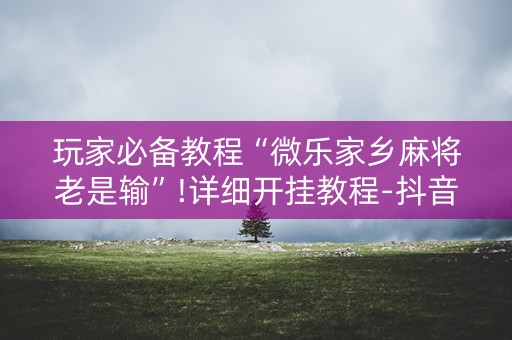 玩家必备教程“微乐家乡麻将老是输”!详细开挂教程-抖音