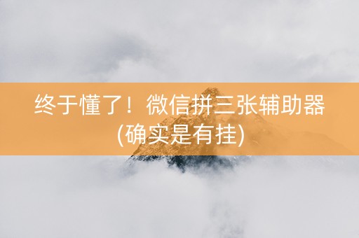 终于懂了！微信拼三张辅助器(确实是有挂)