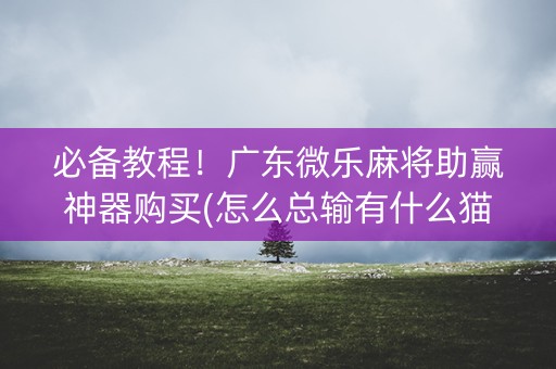 必备教程！广东微乐麻将助赢神器购买(怎么总输有什么猫腻)