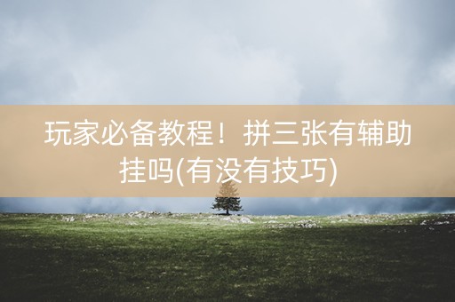 玩家必备教程！拼三张有辅助挂吗(有没有技巧)
