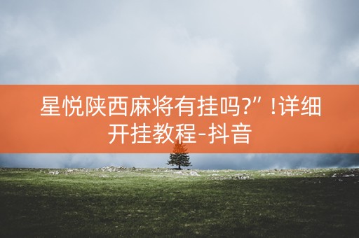 星悦陕西麻将有挂吗?”!详细开挂教程-抖音