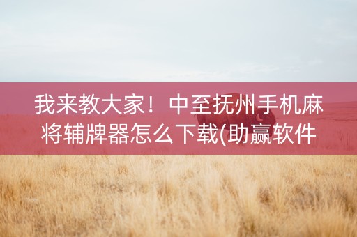 我来教大家！中至抚州手机麻将辅牌器怎么下载(助赢软件有规律吗)