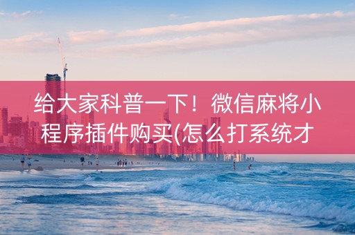 给大家科普一下！微信麻将小程序插件购买(怎么打系统才能给好牌)