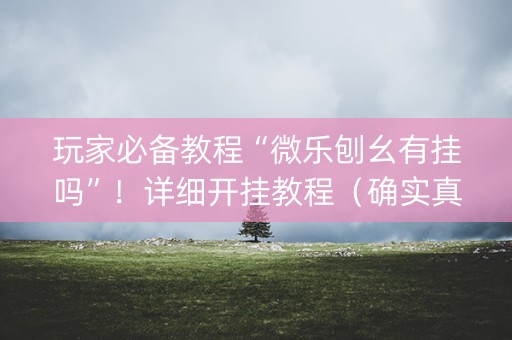 玩家必备教程“微乐刨幺有挂吗”！详细开挂教程（确实真的有挂)-抖音