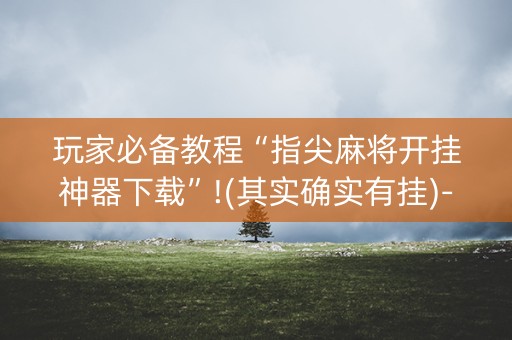 玩家必备教程“指尖麻将开挂神器下载”!(其实确实有挂)-抖音