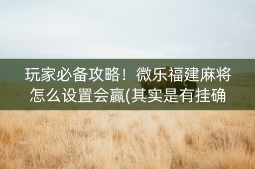 玩家必备攻略！微乐福建麻将怎么设置会赢(其实是有挂确实有挂)
