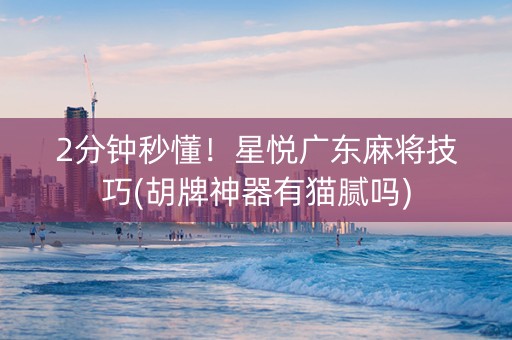 2分钟秒懂！星悦广东麻将技巧(胡牌神器有猫腻吗)