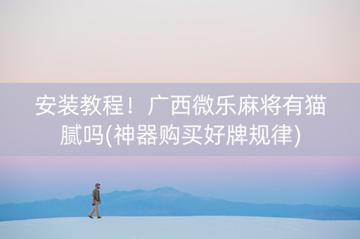 安装教程！广西微乐麻将有猫腻吗(神器购买好牌规律)