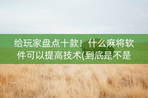 给玩家盘点十款！什么麻将软件可以提高技术(到底是不是有挂)