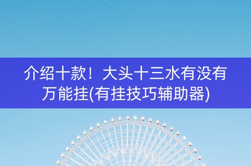 介绍十款！大头十三水有没有万能挂(有挂技巧辅助器)