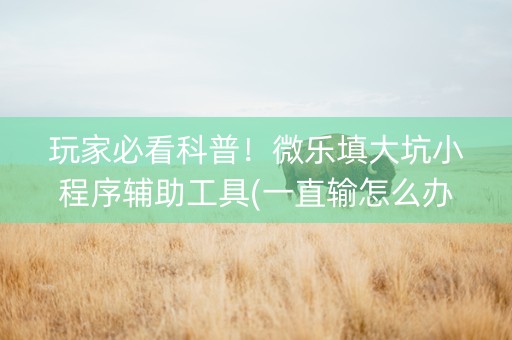 玩家必看科普！微乐填大坑小程序辅助工具(一直输怎么办)