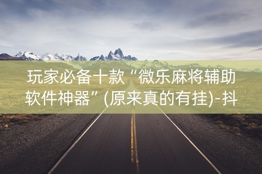 玩家必备十款“微乐麻将辅助软件神器”(原来真的有挂)-抖音