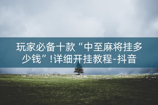 玩家必备十款“中至麻将挂多少钱”!详细开挂教程-抖音