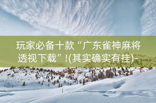 玩家必备十款“广东雀神麻将透视下载”!(其实确实有挂)-抖音