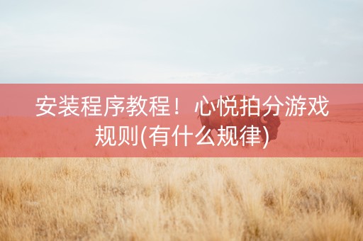 安装程序教程！心悦拍分游戏规则(有什么规律)