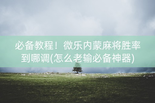 必备教程！微乐内蒙麻将胜率到哪调(怎么老输必备神器)
