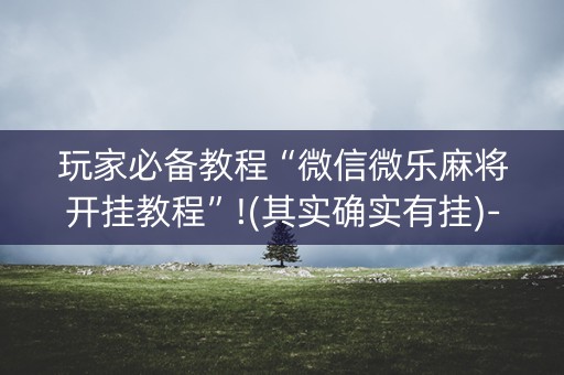 玩家必备教程“微信微乐麻将开挂教程”!(其实确实有挂)-抖音