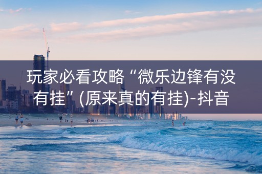 玩家必看攻略“微乐边锋有没有挂”(原来真的有挂)-抖音