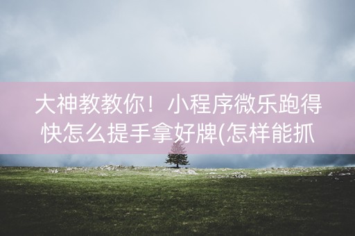 大神教教你！小程序微乐跑得快怎么提手拿好牌(怎样能抓到好牌)