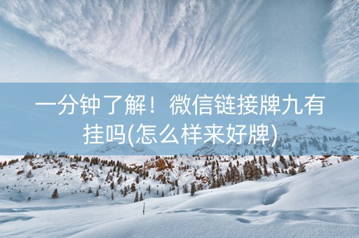 一分钟了解！微信链接牌九有挂吗(怎么样来好牌)