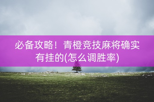 必备攻略！青橙竞技麻将确实有挂的(怎么调胜率)