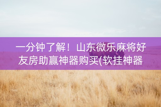 一分钟了解！山东微乐麻将好友房助赢神器购买(软挂神器)